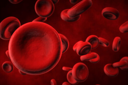 Rote Blutkörperchen und eine einzelne rote Blutzelle vor einem roten Hintergrund, dargestellt in einem digitalen 3D-Design.