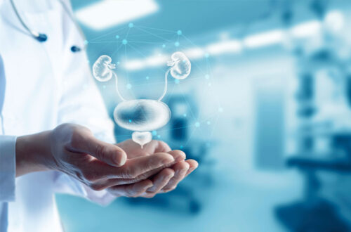 Hand eines Arztes, der ein holografisches Modell des menschlichen Harnsystems mit Nieren und Blase darstellt, in einem modernen medizinischen Umfeld.